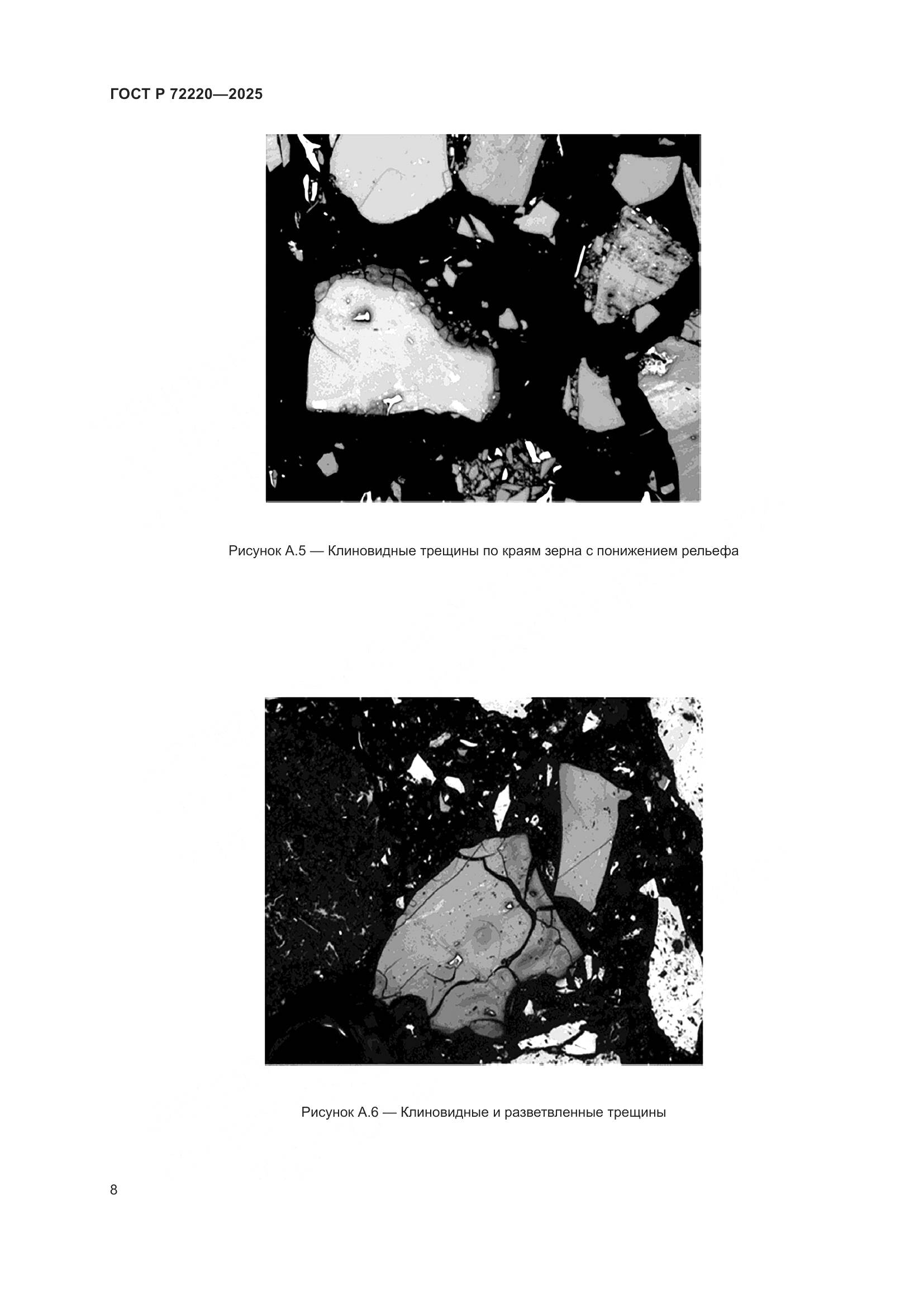 ГОСТ Р 72220-2025, страница 10