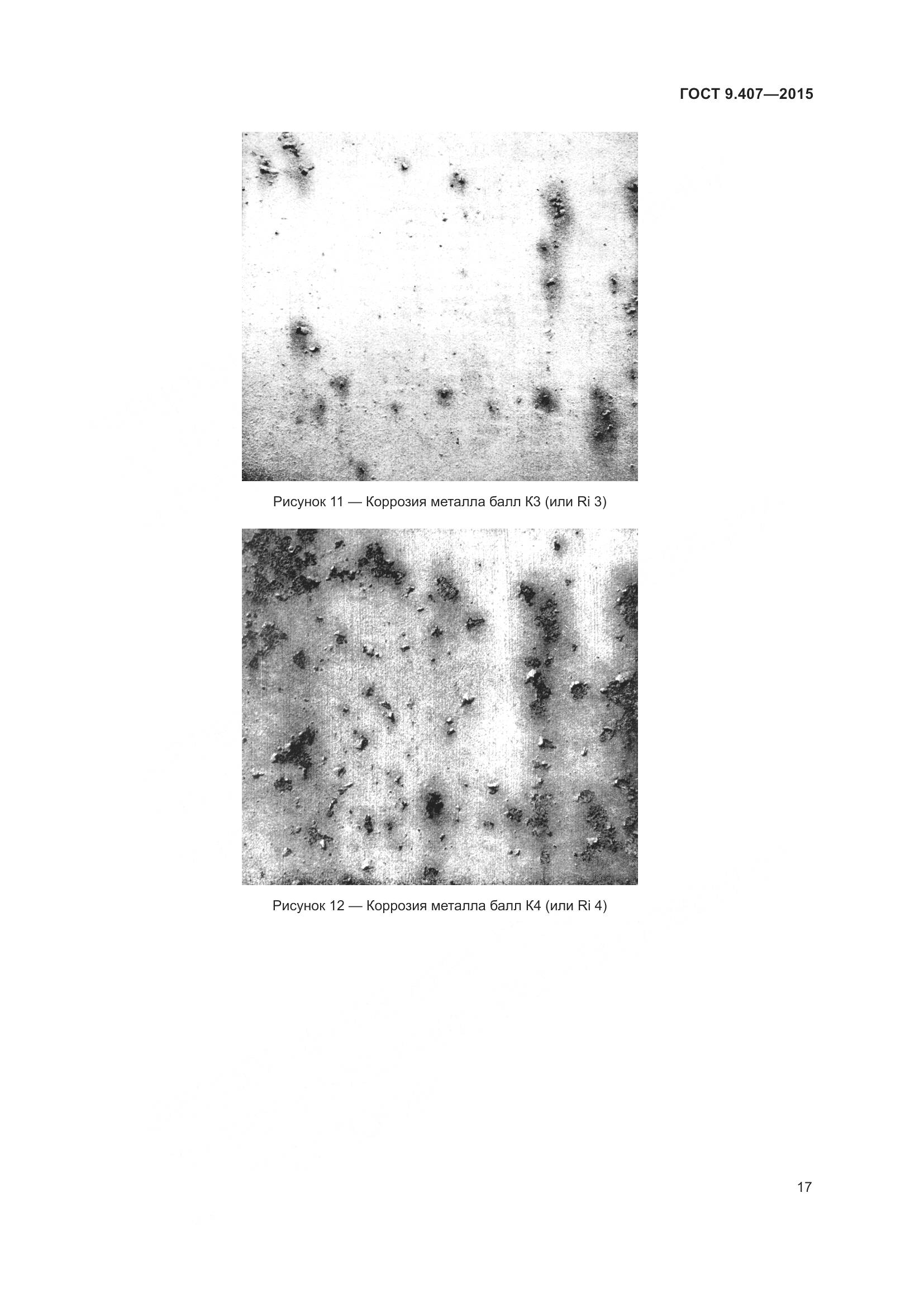 ГОСТ 9.407-2015, страница 23